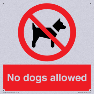 No dogs allowed
